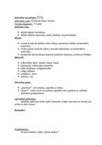 Prakses atskaite 'Pedagoģiskās prakses mape pa centriem', 40.