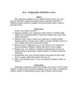 Prakses atskaite 'Pedagoģiskās prakses mape pa centriem', 42.