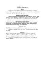 Prakses atskaite 'Pedagoģiskās prakses mape pa centriem', 43.