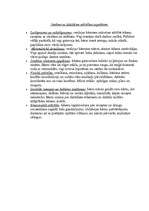 Prakses atskaite 'Pedagoģiskās prakses mape pa centriem', 44.