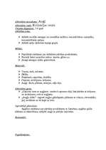 Prakses atskaite 'Pedagoģiskās prakses mape pa centriem', 45.