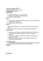 Prakses atskaite 'Pedagoģiskās prakses mape pa centriem', 46.