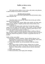 Prakses atskaite 'Pedagoģiskās prakses mape pa centriem', 49.