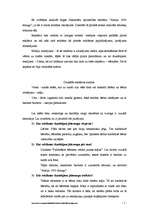 Eseja 'Reklāmas materiālu analīze', 1.