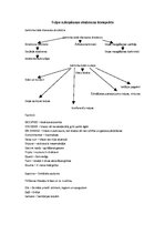 Konspekts 'Telpu uzkopšanas eksāmena konspekts', 1.