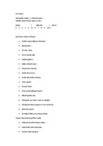 Konspekts 'Telpu uzkopšanas eksāmena konspekts', 2.