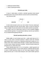 Konspekts 'Neformālās organizācijas rašanās nepieciešamība un elementi', 4.