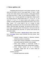 Prakses atskaite 'Pedagoģiskās prakses atskaite', 17.