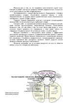 Konspekts 'Современные технологии работы с информацией', 13.