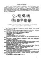 Referāts 'Dāliju audzēšanas bioloģiski saimnieciskais raksturojums', 6.