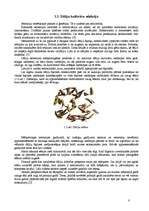 Referāts 'Dāliju audzēšanas bioloģiski saimnieciskais raksturojums', 8.