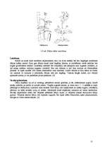 Referāts 'Dāliju audzēšanas bioloģiski saimnieciskais raksturojums', 13.
