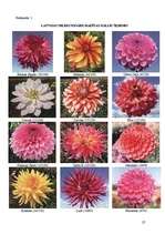 Referāts 'Dāliju audzēšanas bioloģiski saimnieciskais raksturojums', 27.