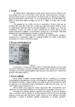 Referāts 'Antioksidanti', 3.