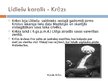 Prezentācija 'Senā Līdija un līdieši', 5.