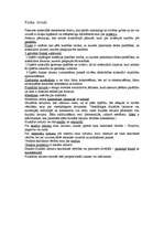 Konspekts 'Fizika. Kinemātika', 1.