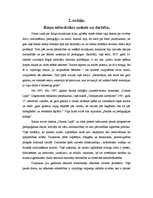 Referāts 'Rainis - politiķis un sabiedriskais darbinieks', 8.