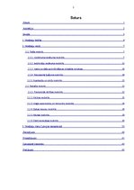 Referāts 'Nodokļu būtība, veidi un loma ekonomikā', 1.