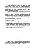 Referāts 'Netradicionālā reliģija', 7.