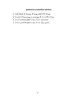 Referāts 'Kopības veidošanās un komunikācija', 13.