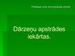 Prezentācija 'Dārzeņu griezēji', 1.