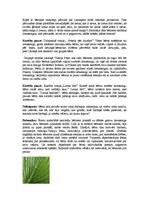 Konspekts 'Atklātā nodarbība ar zīmēšanas dominanti pirmsskolā (4-5 gadi)', 2.