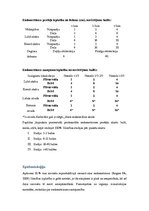 Referāts 'Endometrioze', 4.