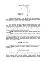 Konspekts 'Rotaļas sākumskolā, pamatskolā un vidusskolā', 7.