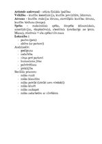 Konspekts 'Rotaļas sākumskolā, pamatskolā un vidusskolā', 20.