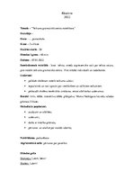 Konspekts 'Latviešu valodas stundas konspekts', 2.