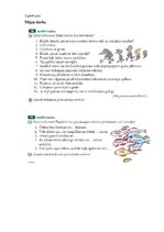 Konspekts 'Latviešu valodas stundas konspekts', 10.