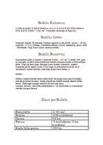 Referāts 'Baikāls', 4.