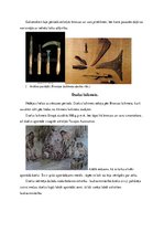 Prezentācija 'Aizvēsture', 5.