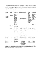 Prezentācija 'Aizvēsture', 6.