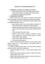 Referāts 'Sociālā institūta analīze', 2.