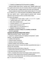 Referāts 'Sociālā institūta analīze', 4.