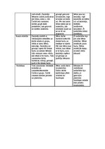 Prakses atskaite 'Vērojumu un aktīvā prakse pirmsskolā', 2.