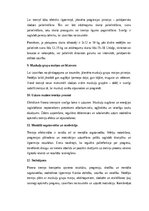 Eseja 'Fitnesa treniņa konspekts: efektīvs treniņš veselības un izturības attīstībai', 4.