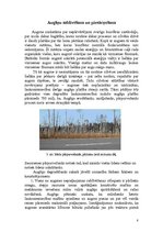 Referāts 'Hidromeliorācijas ietekme uz dabu', 8.