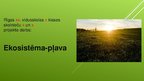 Prezentācija 'Ekosistēma - pļava', 1.