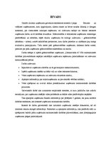 Referāts 'SIA "Uzskaitvedis A" saimnieciskās darbības pilnveidošana', 3.