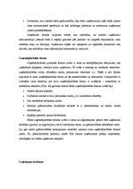 Referāts 'SIA "Uzskaitvedis A" saimnieciskās darbības pilnveidošana', 5.