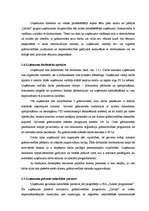 Referāts 'SIA "Uzskaitvedis A" saimnieciskās darbības pilnveidošana', 7.