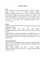 Konspekts 'J.Vītola kora dziesmas "Gaismas pils" analīze', 13.