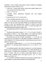 Konspekts 'Āfrika un Āfrikas valstu valūtas', 13.