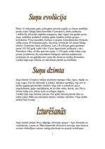 Referāts 'Suņi un suņu dzimta', 1.