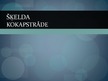 Prezentācija 'Šķelda', 1.