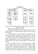 Prakses atskaite 'Mārketinga pamatelementu izvērtējums', 13.