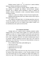 Prakses atskaite 'Mārketinga pamatelementu izvērtējums', 17.