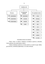 Prakses atskaite 'Mārketinga pamatelementu izvērtējums', 28.